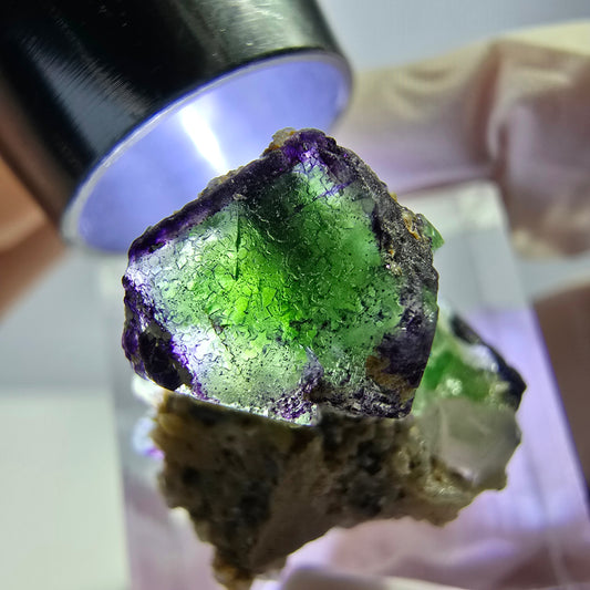 Cube de fluorite fantôme, zonal, muscovite, spécimen de tourmaline Schorl, Erongo, Namibie, 24 x 17 x 13 mm