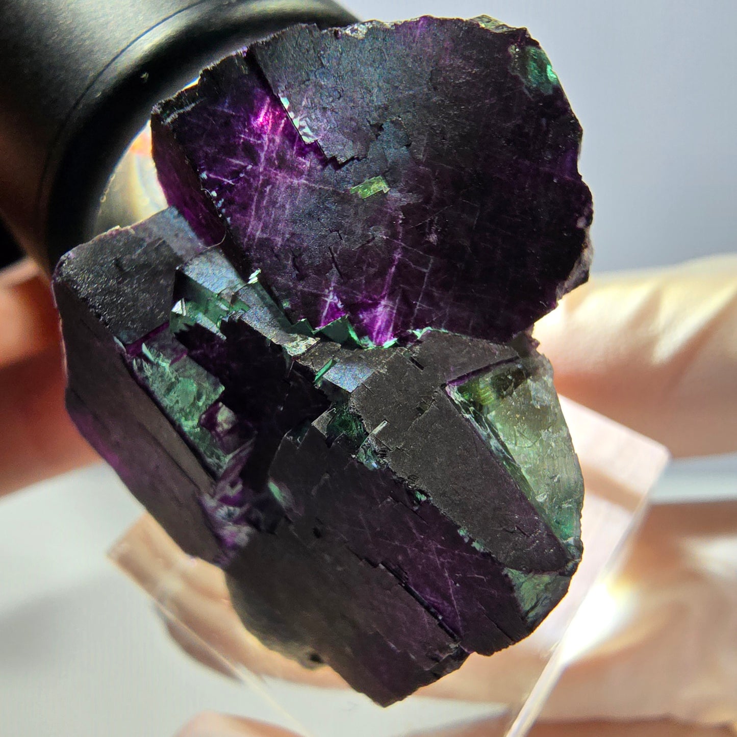 Phantom Fluorit Würfel Stufe grün lila zonal 11:11 Angel Pocket, Namibia 30*28*25mm