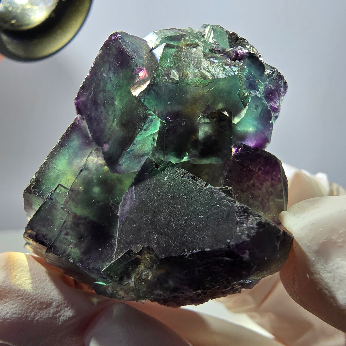Spécimen de cube de fluorite fantôme parqueté vert violet Okorusu, Namibie 47*36*22mm