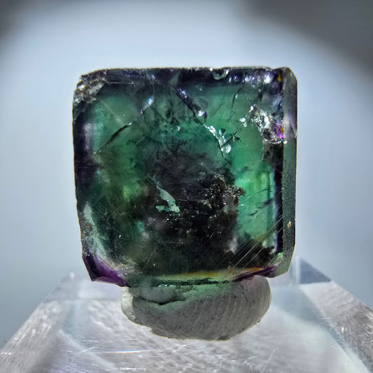 Rare cube de fluorite fantôme, vert violet zonal Okorusu, Namibie 21*21*14 mm