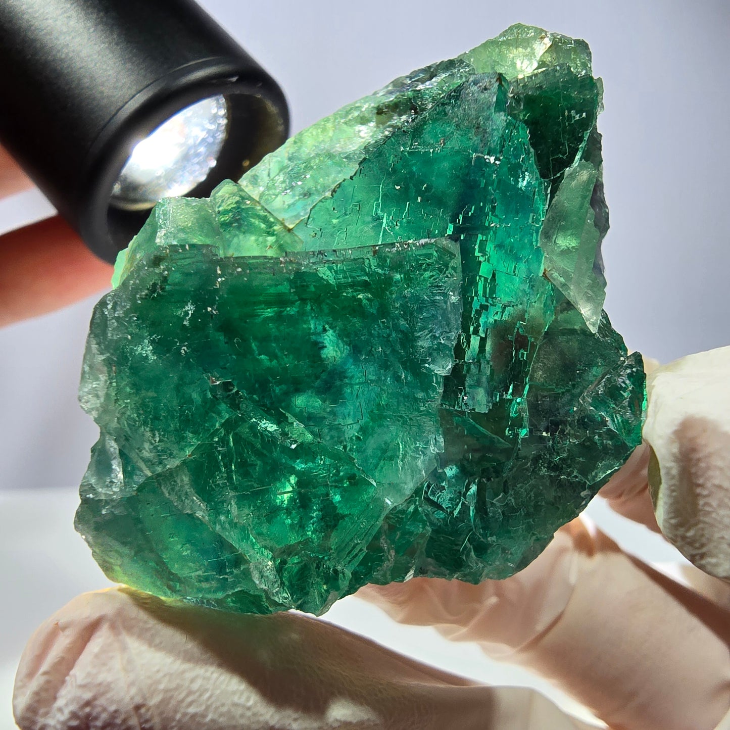 Spécimen de cube de fluorite fantôme, parqueté vert violet Okorusu, Namibie 59*39*24 mm
