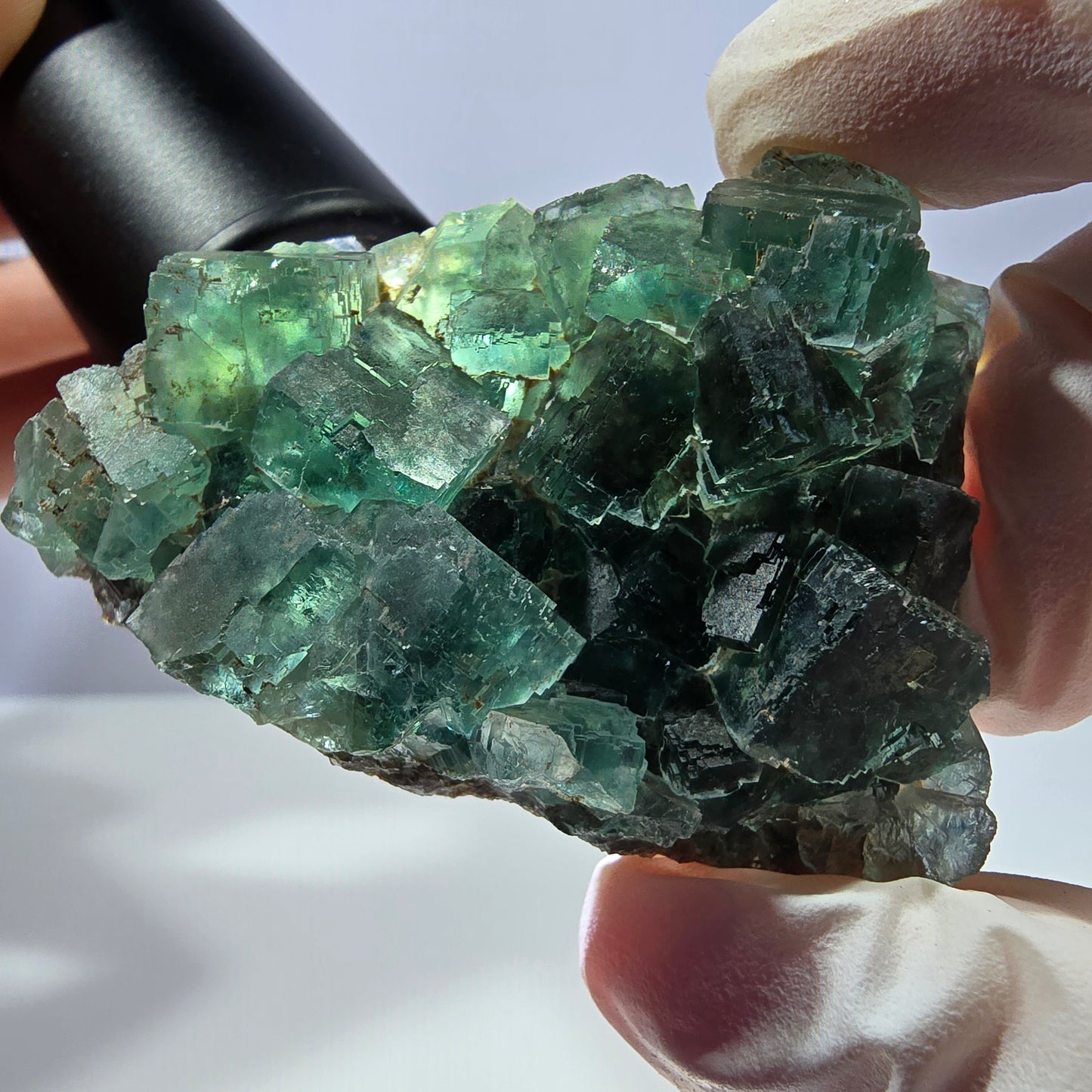 Spécimen de cube de fluorite fantôme transparente, vert parqueté, Okorusu, Namibie, 57 x 44 x 19 mm