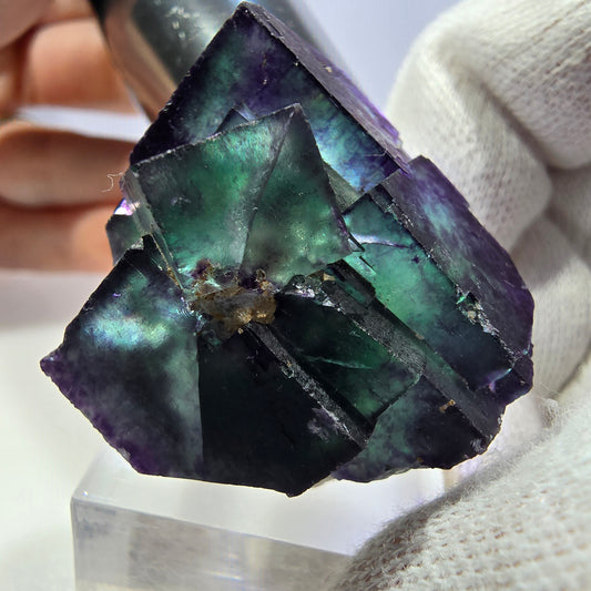 Spécimen de cube de fluorite fantôme transparente, vert-violet zonal, Okorusu, Namibie, 33 x 28 x 26 mm