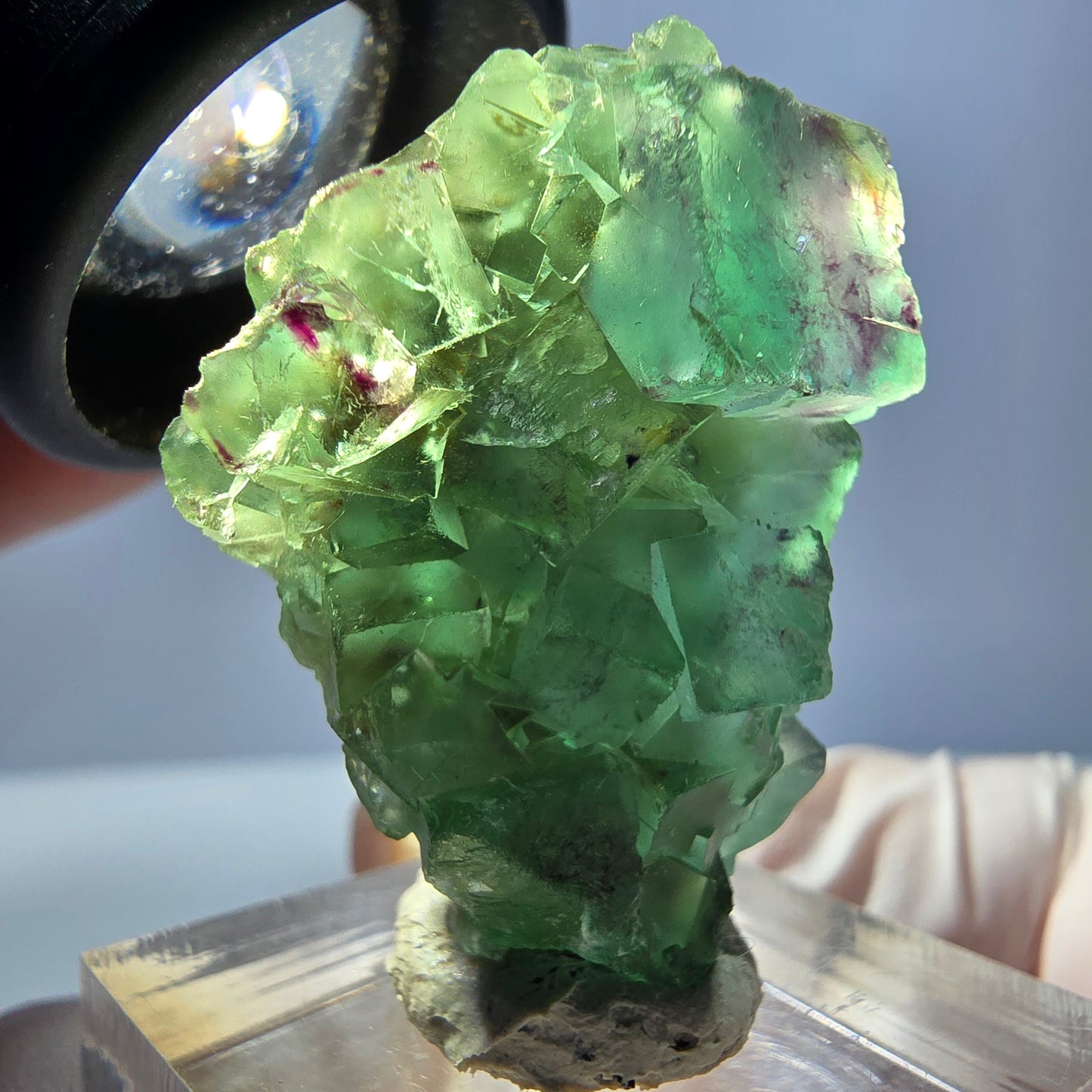 Spécimen de cube de fluorite fantôme, vert violet, Okorusu, Namibie, 34 x 27 x 13 mm
