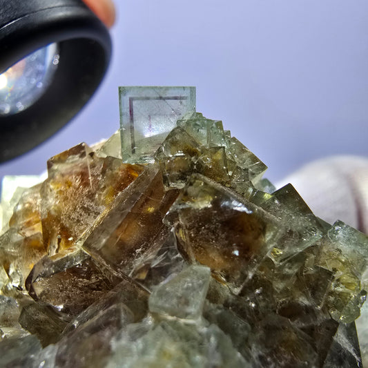 Rare spécimen de cube de fluorite fantôme, vert violet jaune Okorusu Namibie 64*62*44mm