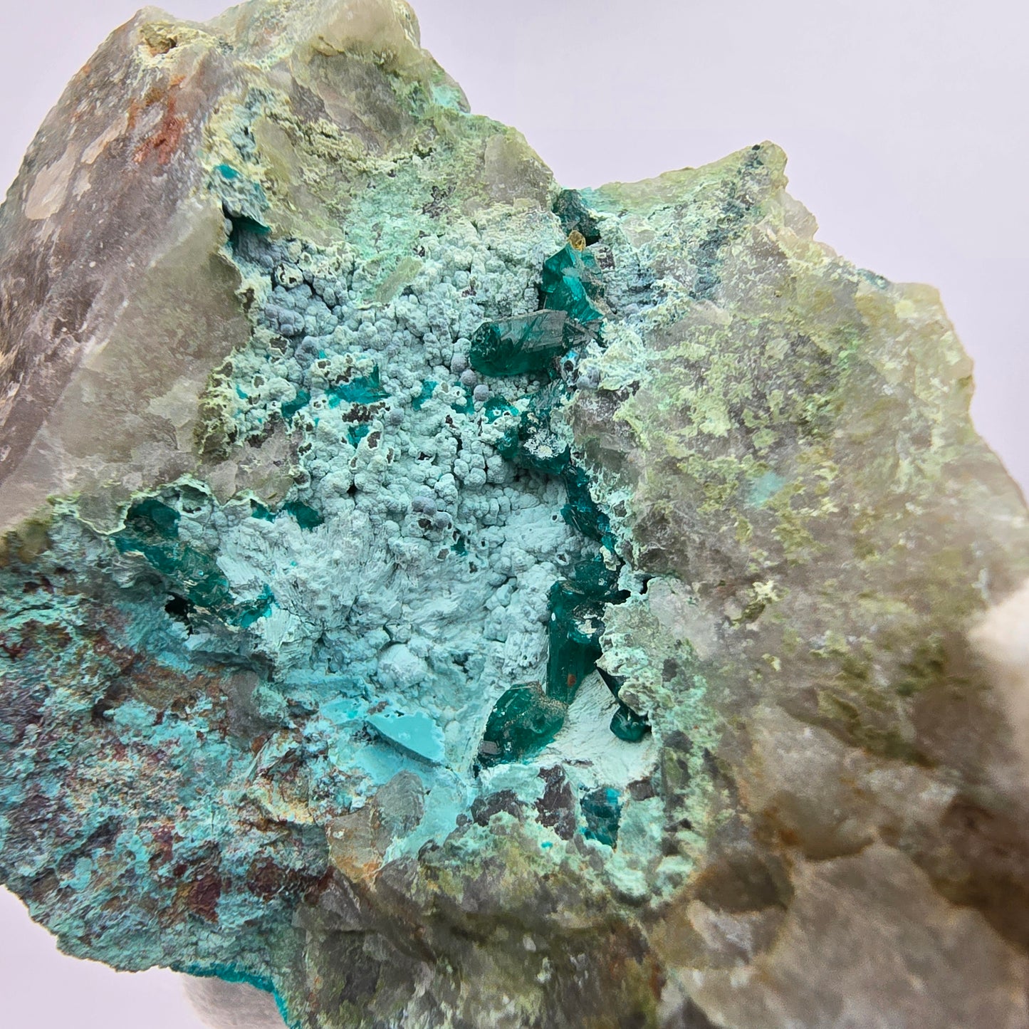 Rare spécimen de dioptase, chrysocolle sur quartz, Kaokoveld, Namibie, 68 x 41 x 38 mm