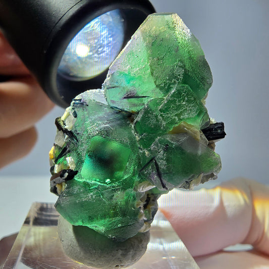 Cube de fluorite fantôme hexagonal, muscovite, tourmaline Schörl Erongo, Namibie 39*25*21mm