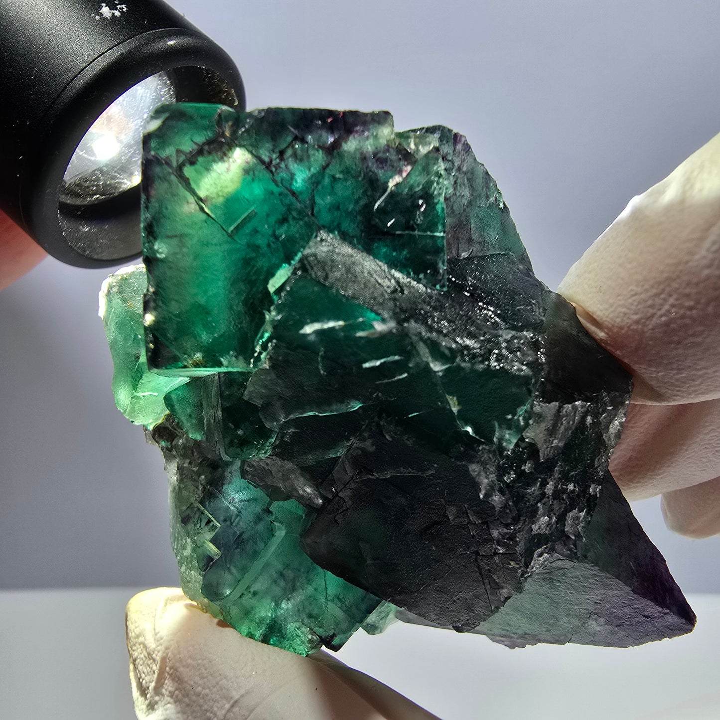 Spécimen de cube de fluorite fantôme, parqueté, vert violet Okorusu, Namibie 62*46*32mm