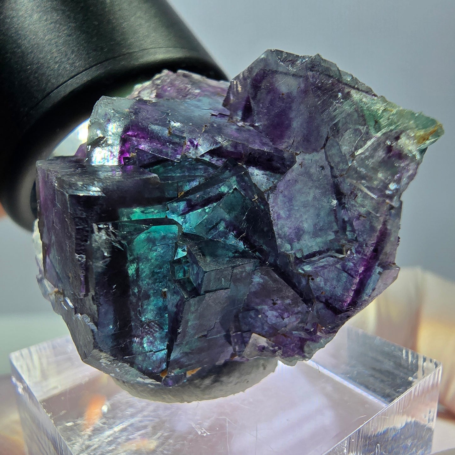 Seltene Fluorit Würfel Stufe, grün lila Okorusu, Namibia 31*27*19mm