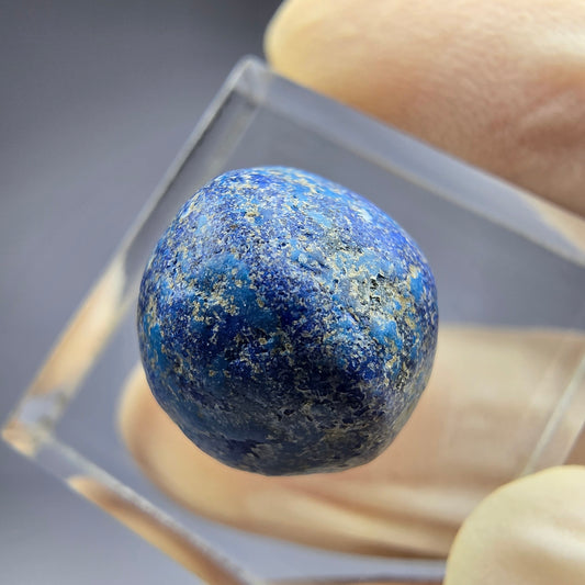 Seltene große Azurit Blueberry - poliert 14,9mm Durchmesser aus USA, New Mexico