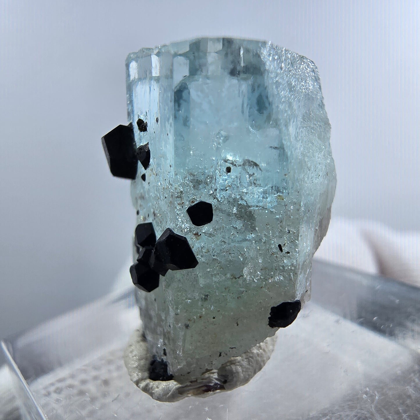 Aigue-marine Setlene, tourmaline Schörl stade Erongo, Namibie 21*15*14mm