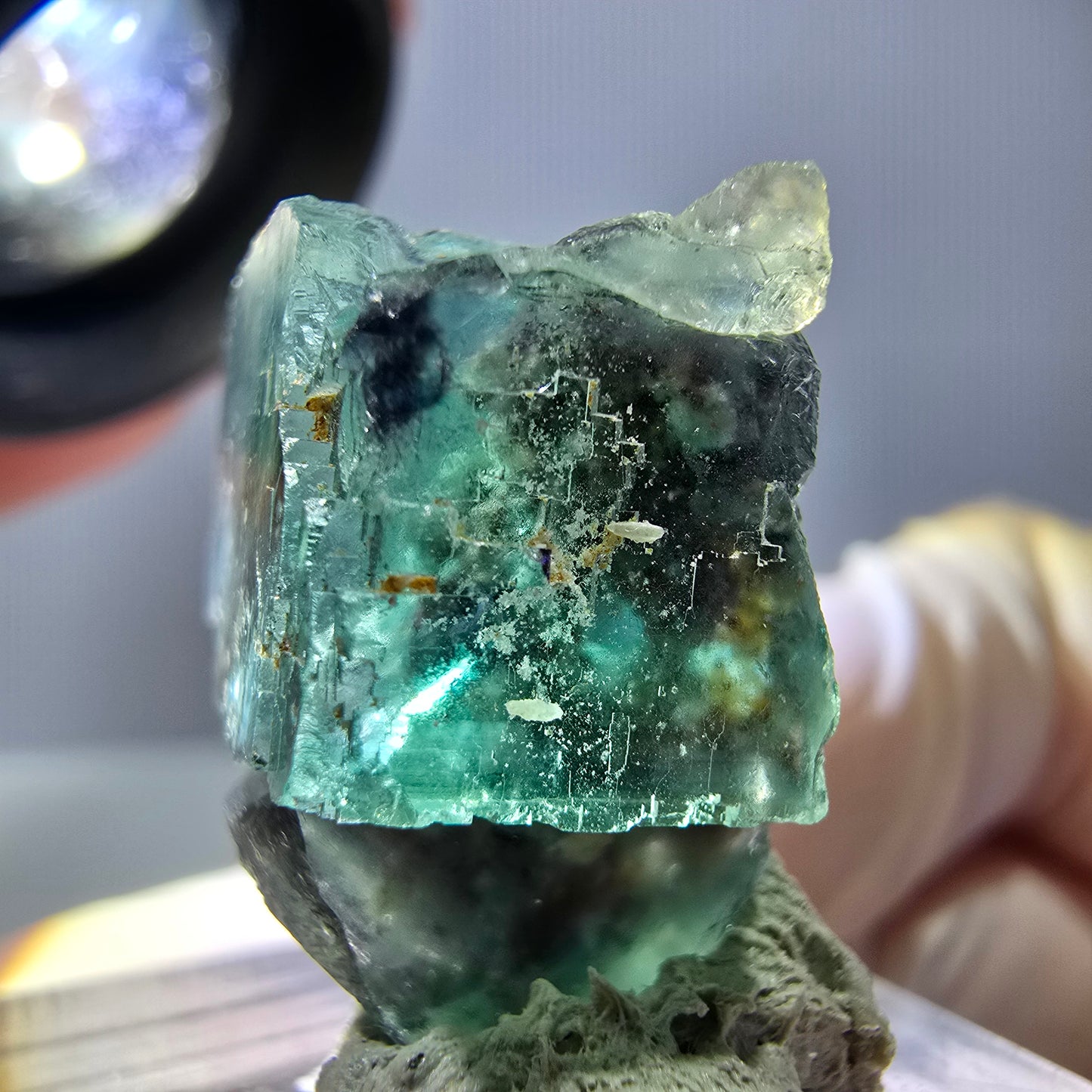 Spécimen de cube de fluorite fantôme, parquet vert Okorusu, Namibie 22 x 19 x 16 mm