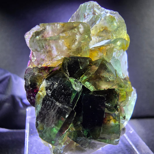 Rare niveau de cube Phantom Fluorite XX vert violet 30*24*15mm d'Okorusu Namibie