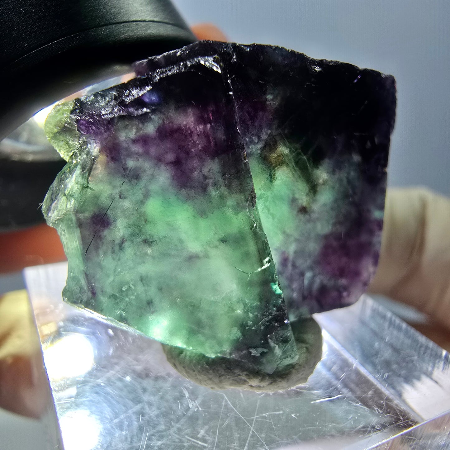 Spécimen de cube de fluorite fantôme, parqueté vert violet Okorusu, Namibie 26*22*13 mm