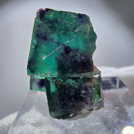 Spécimen rare de cube de fluorite fantôme, vert zonal et violet, Okorusu, Namibie, 22 x 19 x 14 mm