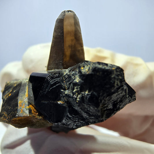 Sym. Tourmaline Schörl, stade de quartz fumé Erongo, Namibie 42*25*20mm