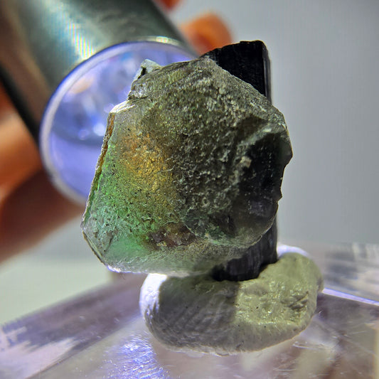 Cube hexagonal de fluorite fantôme, tourmaline Schorl d'Erongo, Namibie 16 x 14 x 13 mm