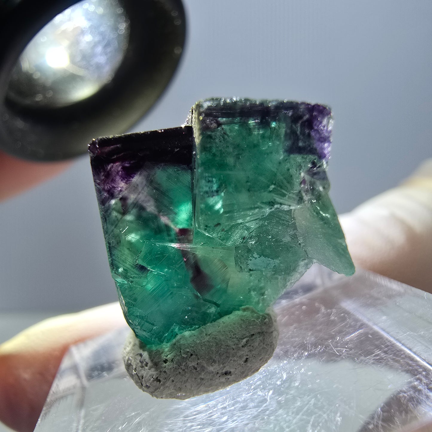 Spécimen de cube de fluorite fantôme, parqueté vert violet Okorusu, Namibie 25*18*14 mm