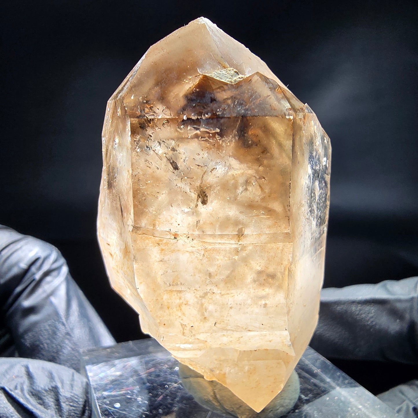 Enhydro Phantom Smoky Quartz Sceptre Tip 2x Bubble Goboboseb, Namibie 64*37*30mm