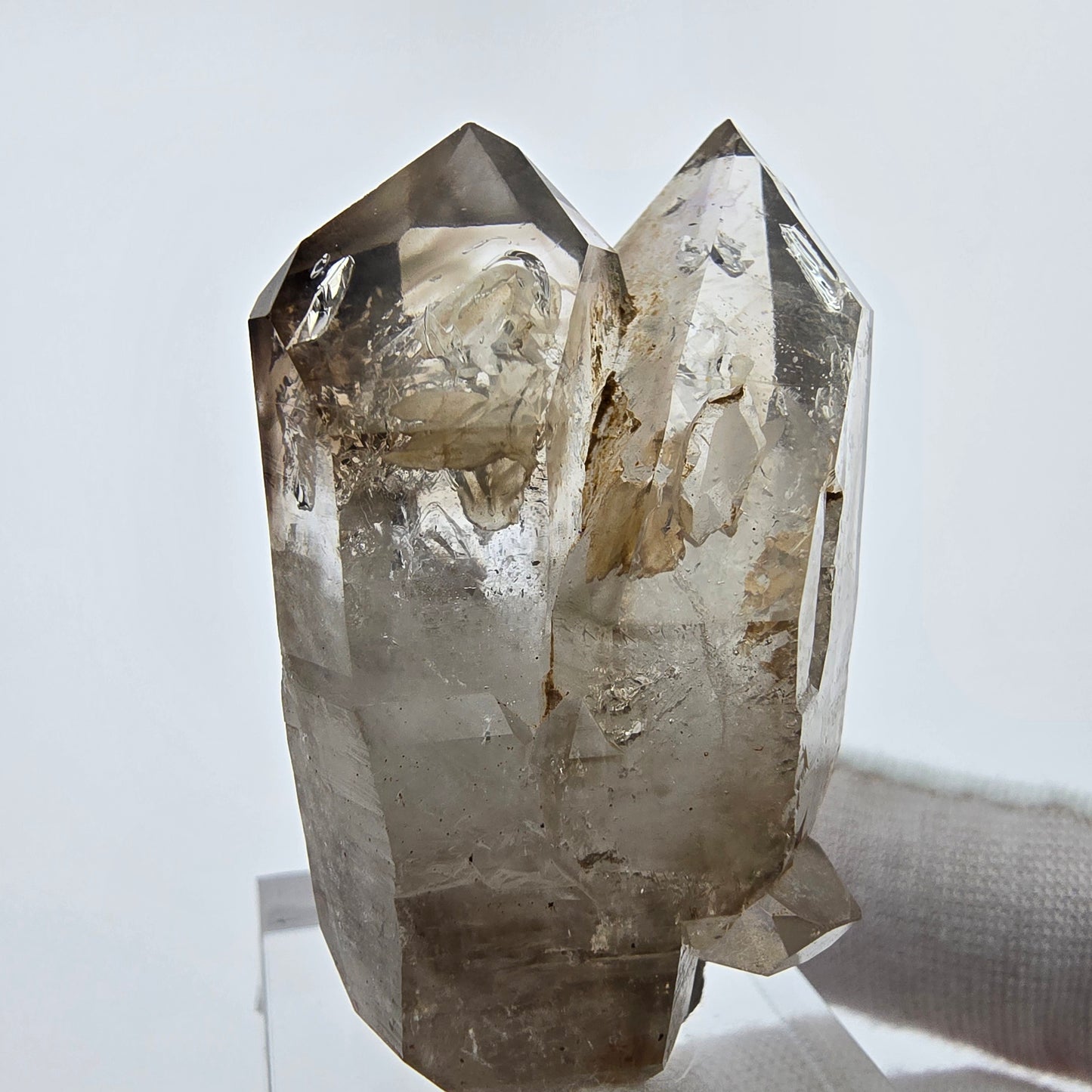 Enhydro Phantom Rauchquarz Doppelender 1x Blase Goboboseb, Namibia 47*29*20mm