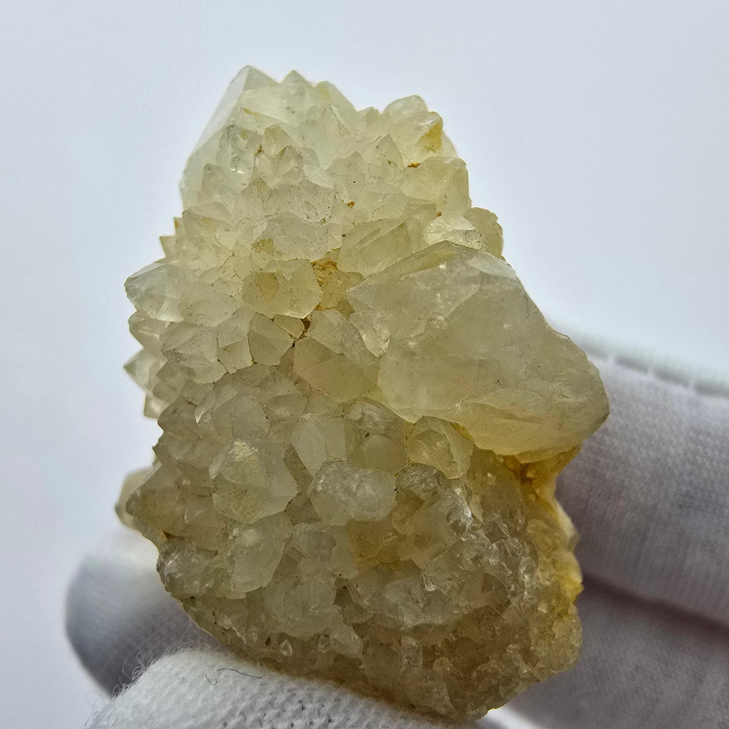Kaktusquarz, Spirit Quarz XX Stufe Boekenhouthoek, Südafrika 38*37*23mm Sammlung