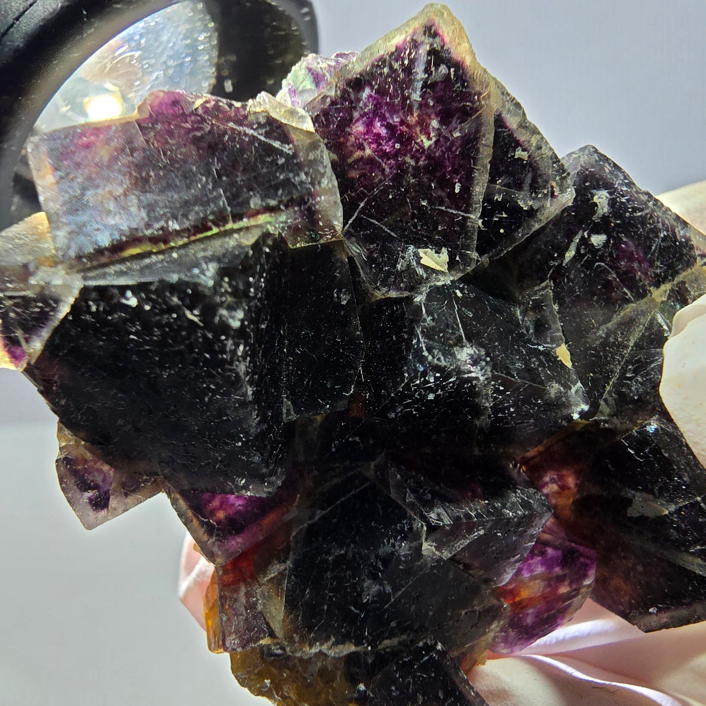 Rare spécimen de cube de fluorite fantôme, vert violet jaune Okorusu, Namibie 48 x 39 x 14 mm