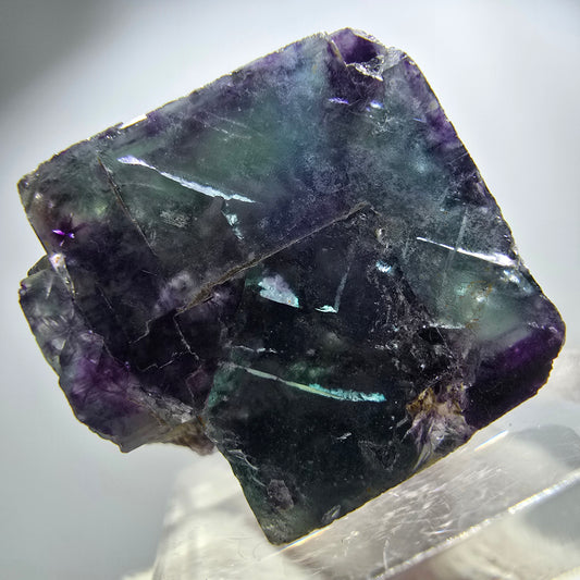 Spécimen rare de cube de fluorite fantôme, vert zonal et violet, Okorusu, Namibie, 28 x 25 x 18 mm