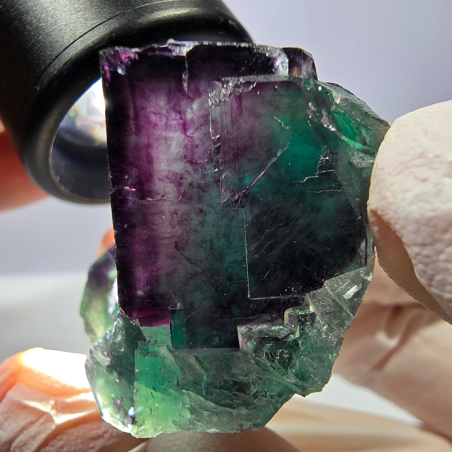 Spécimen de cube de fluorite fantôme, parqueté vert violet Okorusu, Namibie 36*31*29 mm