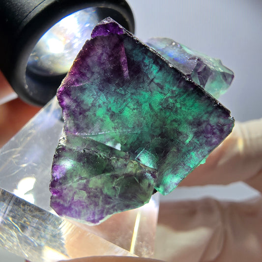 Seltene Fluorit Würfel Stufe, grün lila Okorusu, Namibia 34*32*23mm