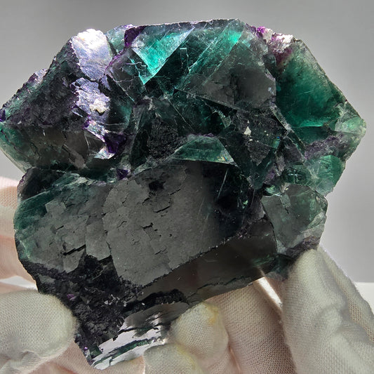 Grand Cube Phantom Fluorite Tier Vert Violet Okorusu Namibie 93*89*37mm Collection