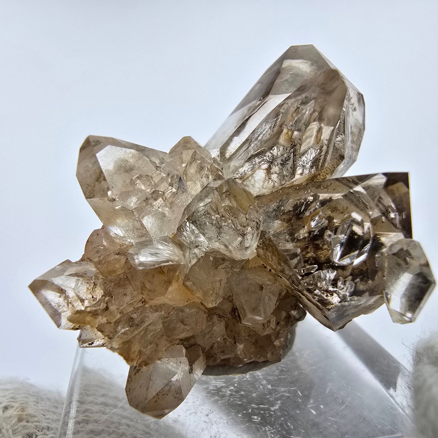 Phantom Rauchquarz DT Zepter Stufe Goboboseb, Namibia 23*21*25mm