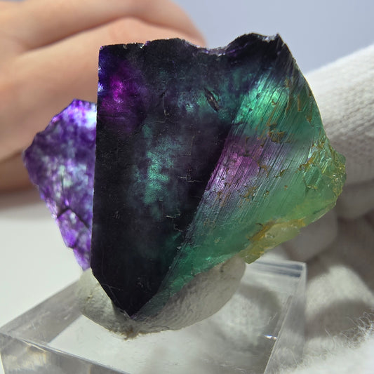 Spécimen de cube de fluorite fantôme transparente, vert-violet zonal, Okorusu, Namibie, 42 x 28 x 24 mm