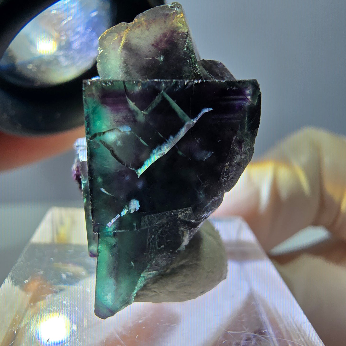 Phantom Fluorit Würfel Stufe, parkettiert grün lila Okorusu, Namibia 27*19*16mm
