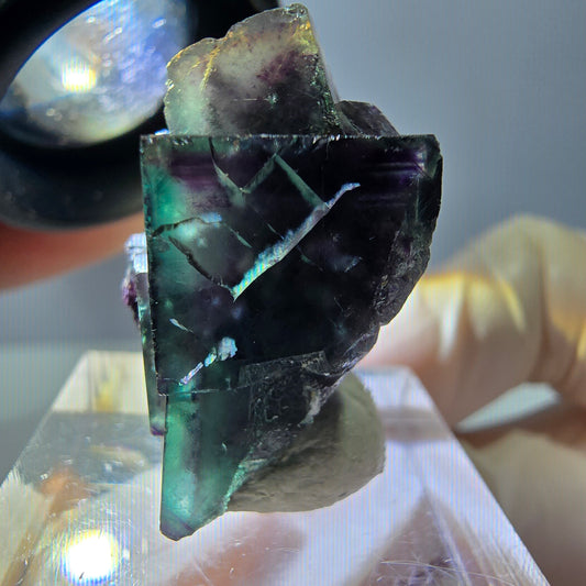Phantom Fluorit Würfel Stufe, parkettiert grün lila Okorusu, Namibia 27*19*16mm