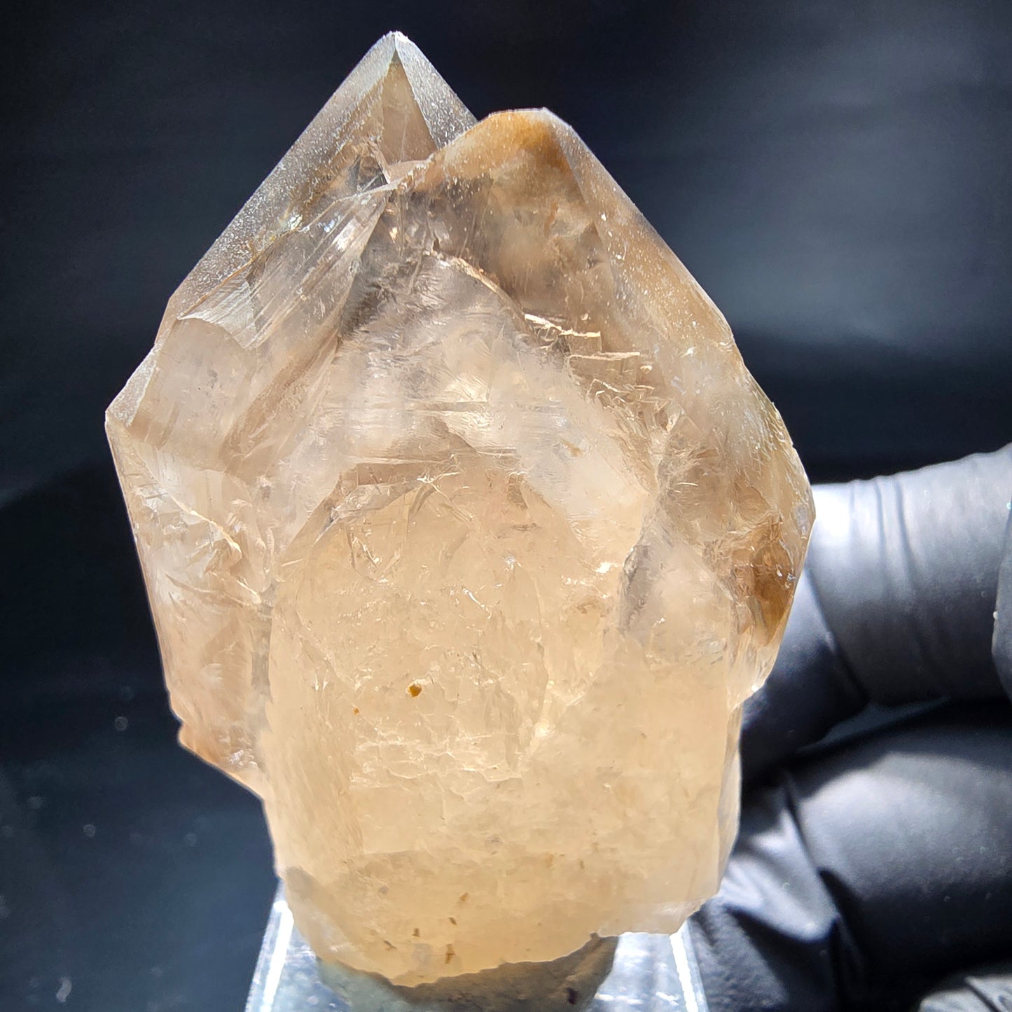 Schöne Phantom Rauchquarz Zepter Spitzen Erongo, Namibia 56*33*28mm Sammlung