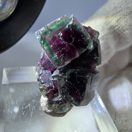 Rare spécimen de cube de fluorite fantôme, vert-rose, Okorusu, Namibie, 24 x 16 x 14 mm