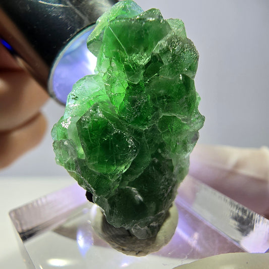 Cube de fluorite fantôme, muscovite et tourmaline Schorl, spécimen d'Erongo, Namibie, 29 x 19 x 17 mm