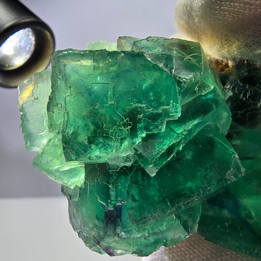 Rare spécimen de cube de fluorite fantôme, parqueté vert Okorusu, Namibie, 74 x 50 x 30 mm