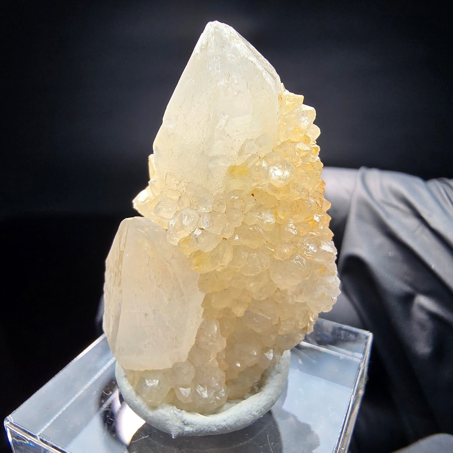 Quartz cactus, quartz spiritueux niveau XX Boekenhouthoek, collection Afrique du Sud 35*23*17