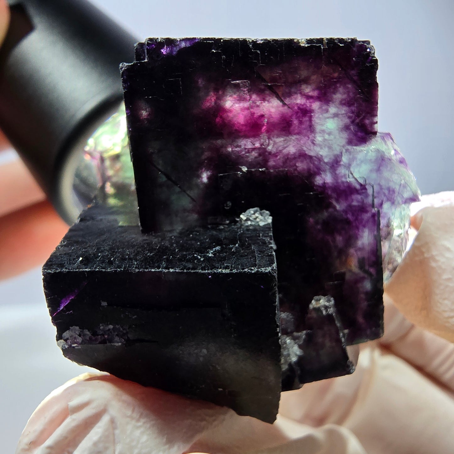 Spécimen de cube de fluorite fantôme, parqueté vert violet Okorusu, Namibie 40*35*29 mm