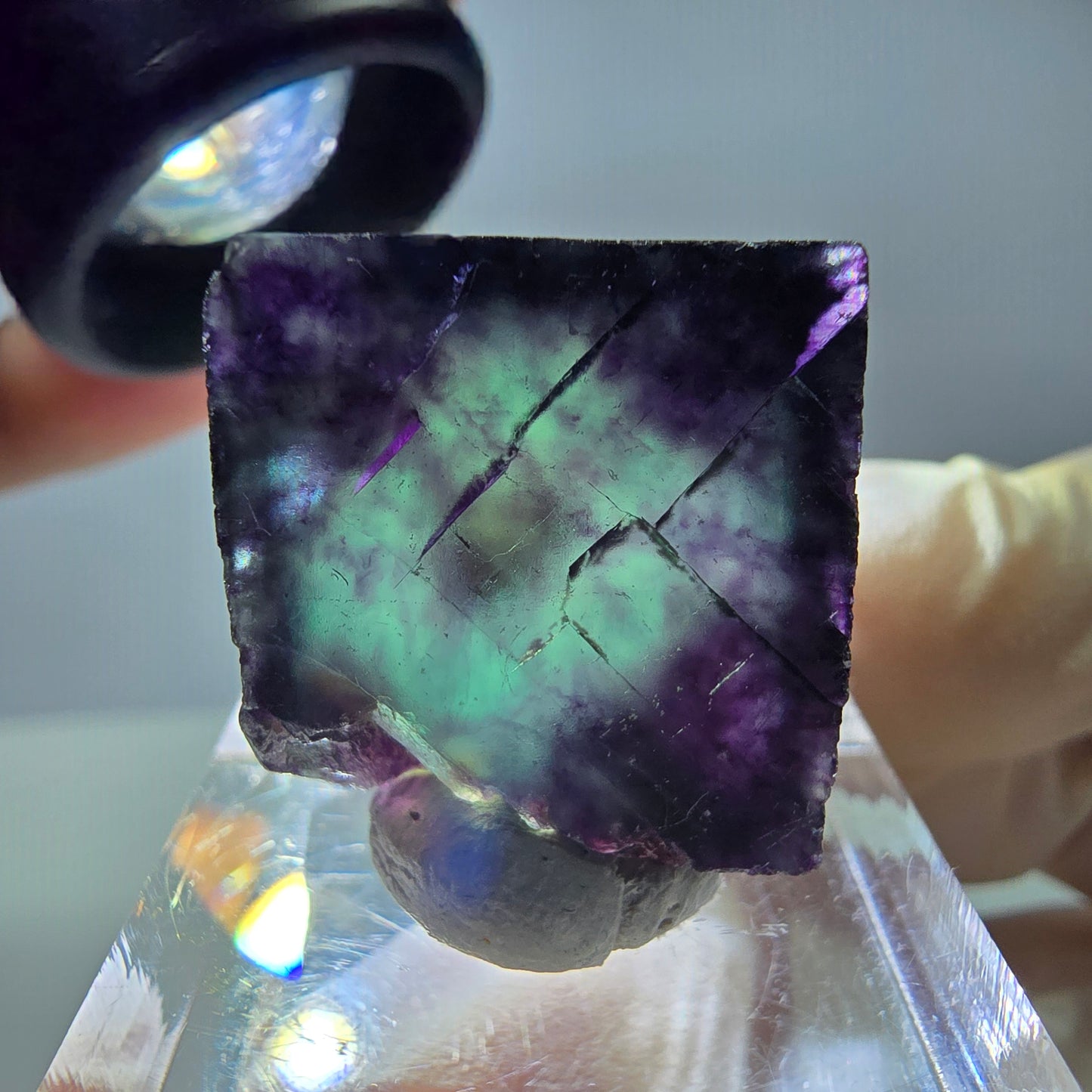 Rare cube de fluorite fantôme parqueté vert violet Okorusu Namibie 19*20*14mm