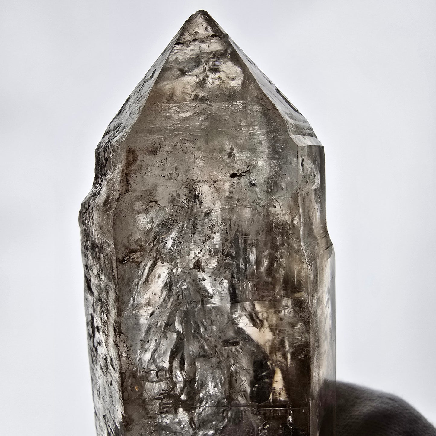 XL Skeleton Phantom Smoky Quartz DT Sceptre Valentine Pocket, Namibie 183*56*44mm