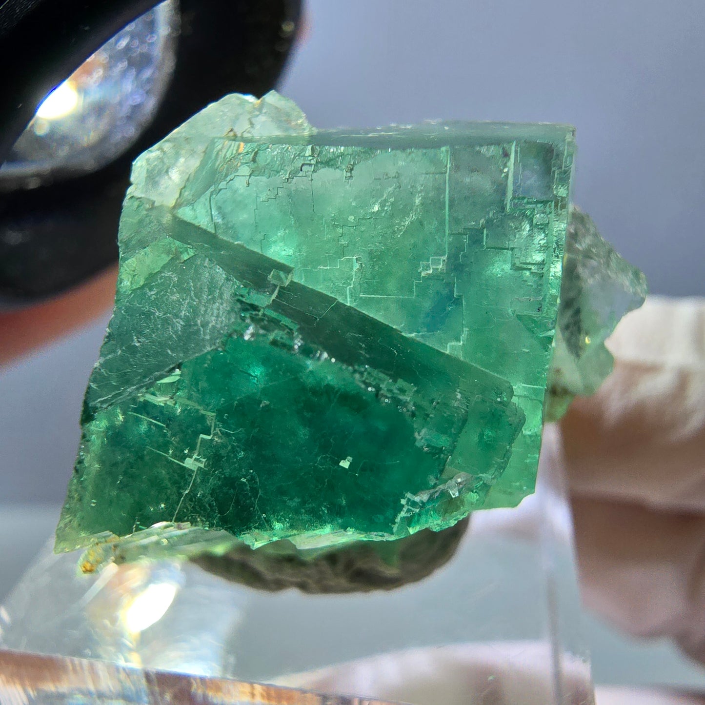Phantom Fluorit Würfel Stufe, grün parkettiert Okorusu, Namibia 26*21*21mm