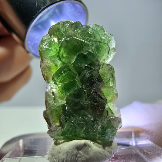 Cube de fluorite fantôme, zonal, spécimen de tourmaline Schorl, Erongo, Namibie, 23 x 15 x 14 mm