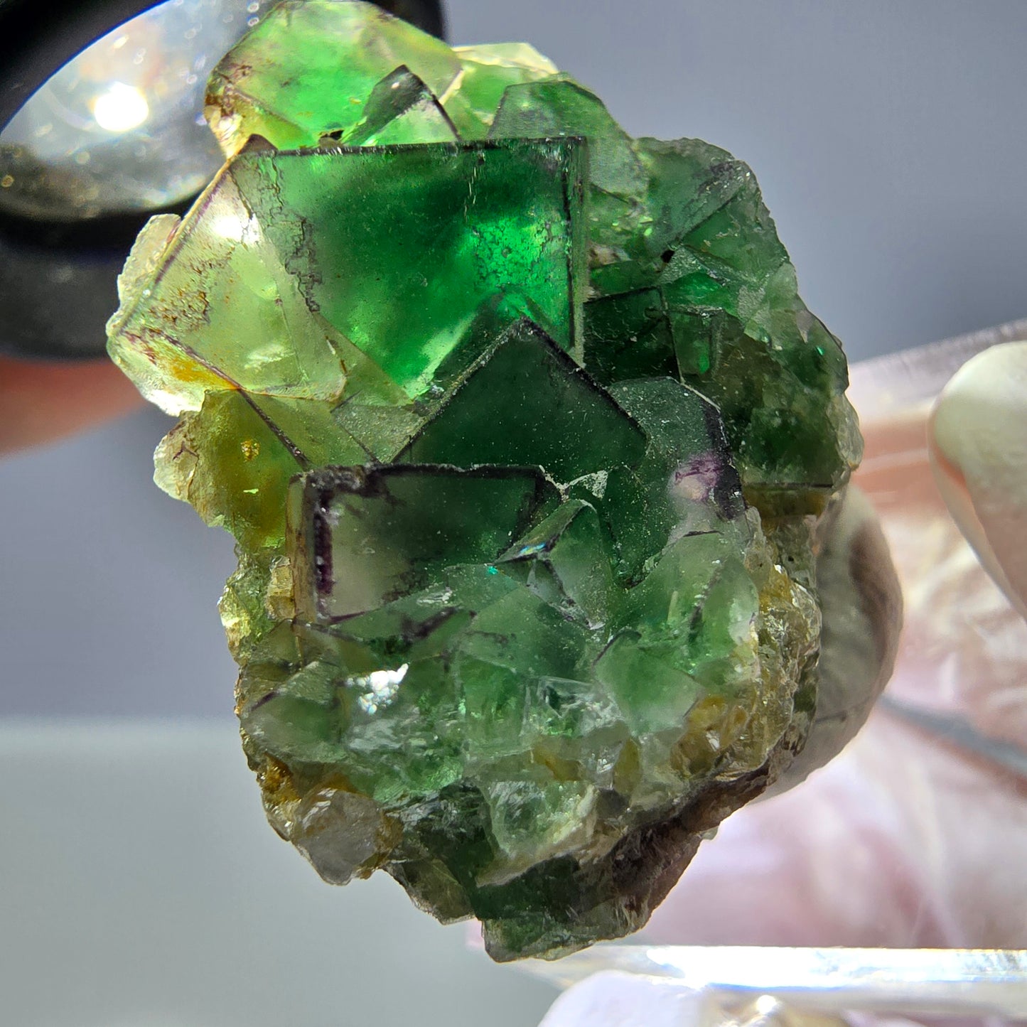 Cube de fluorite fantôme, zonal, muscovite, spécimen de calcite UV, Erongo, Namibie, 31 x 31 x 19 mm