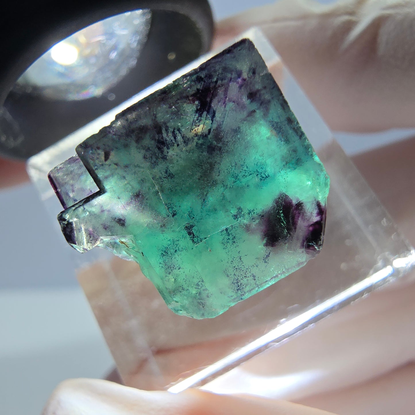 Phantom Fluorit Würfel Stufe, parkettiert grün lila Okorusu, Namibia 15*16*14mm