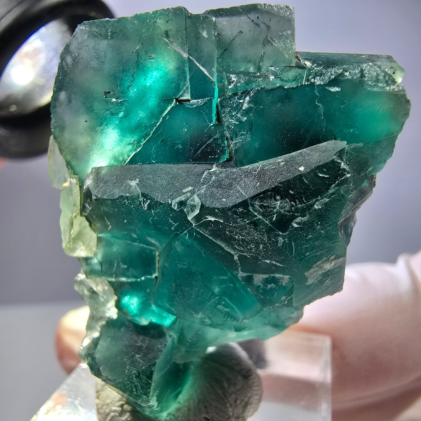 Phantom Fluorit Würfel Stufe, grün lila Okorusu, Namibia 37*30*16mm