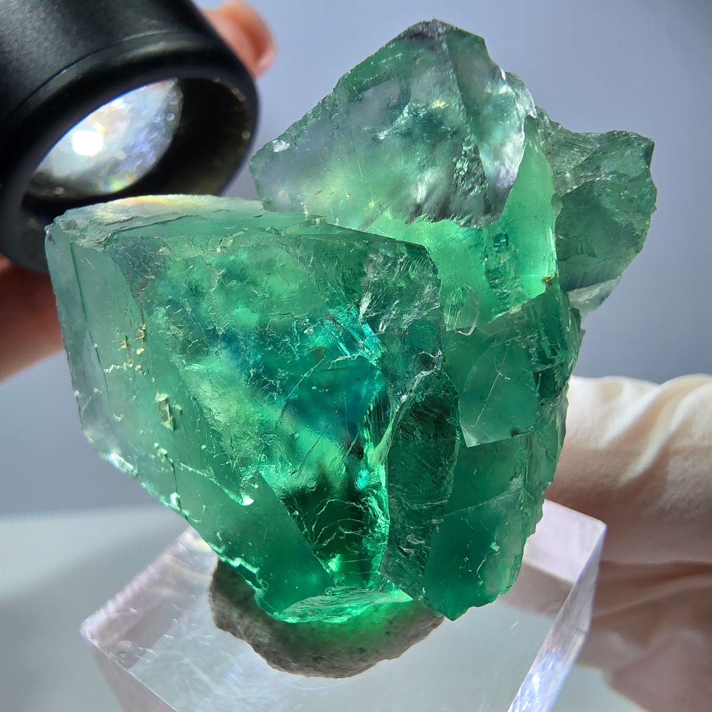 Seltene Phantom Fluorit Würfel Stufe, grün Okorusu, Namibia 40*28*20mm