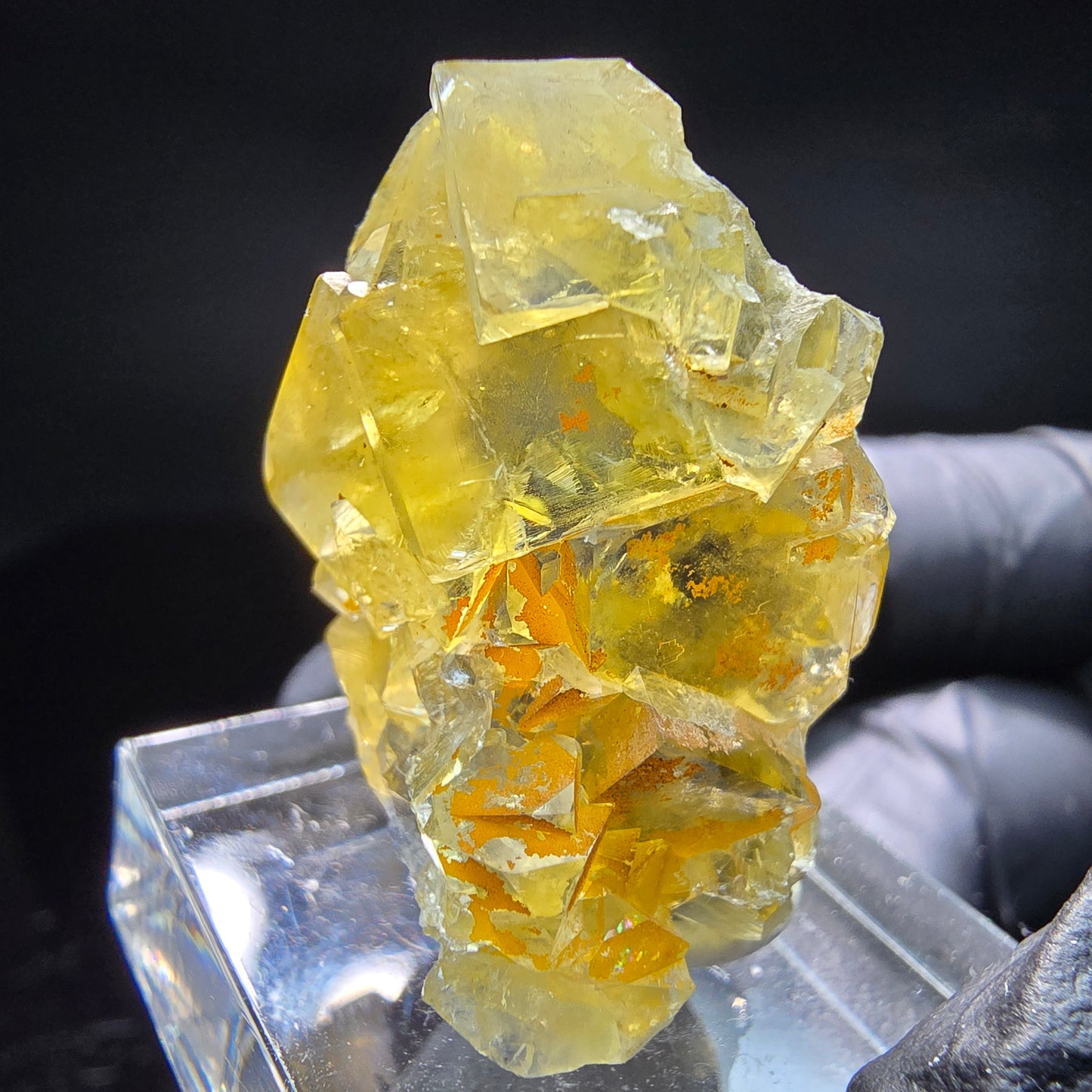 Clear Honey Pocket Phantom Fluorite cube niveau jaune Okorusu, Namibie 35*24*23mm