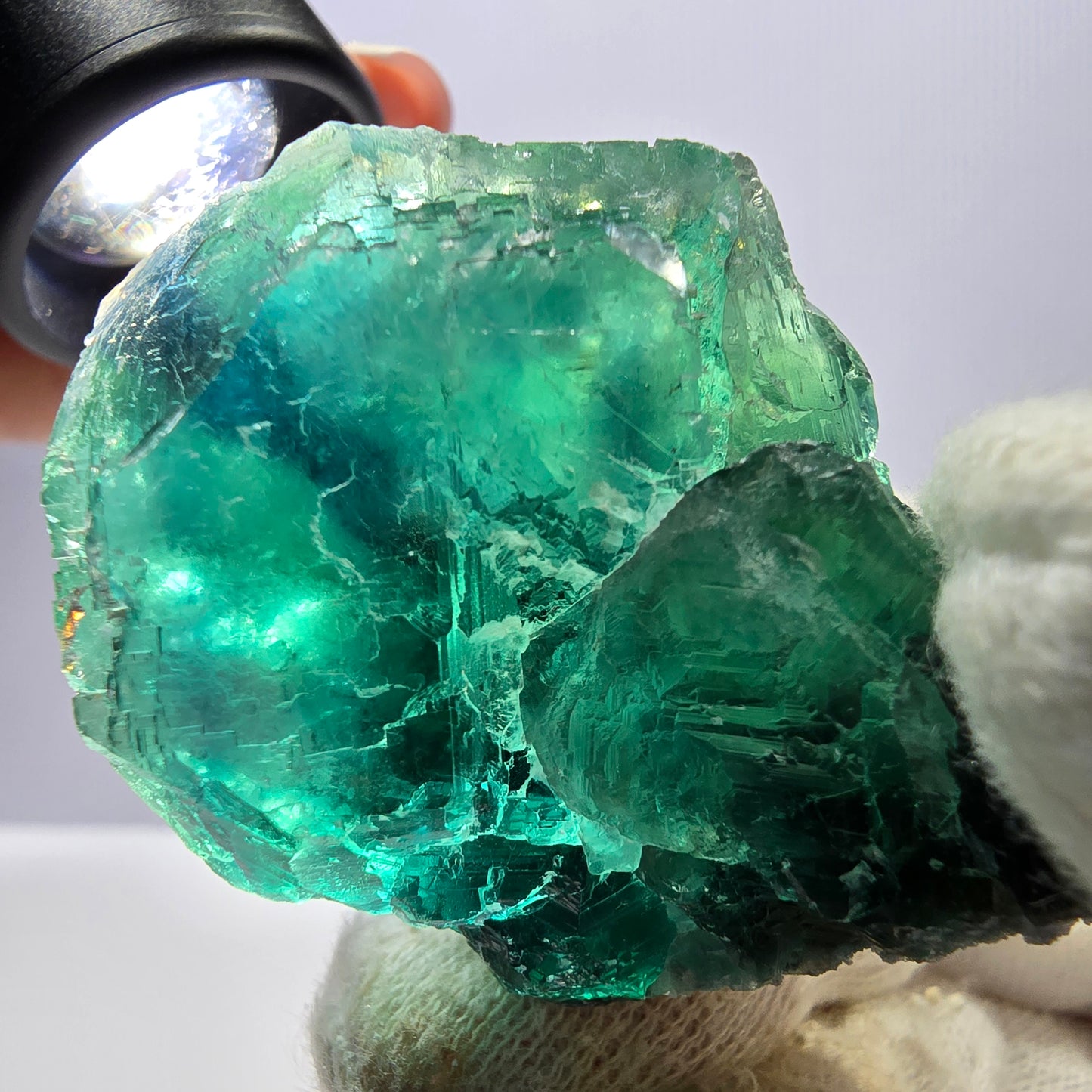 Rare spécimen de cube de fluorite fantôme, parqueté vert Okorusu, Namibie, 44 x 44 x 38 mm